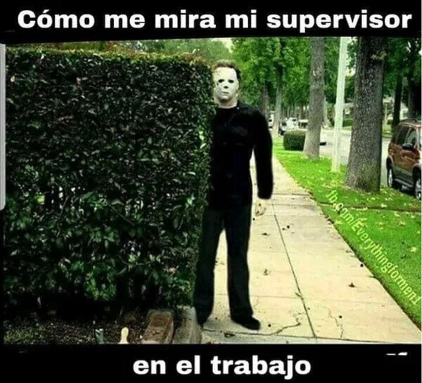 Meme_otros - No estoy haciendo nada que no deba...