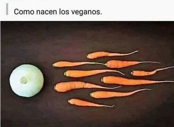 Meme_otros - El milagro de la vida