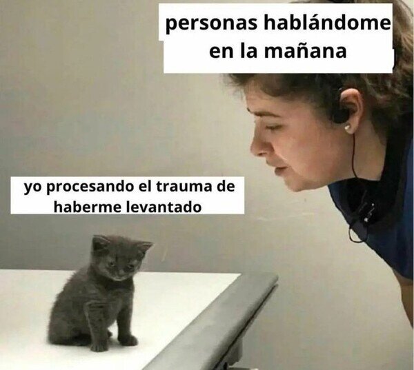 Meme_otros - Necesito un tiempo para asimilar