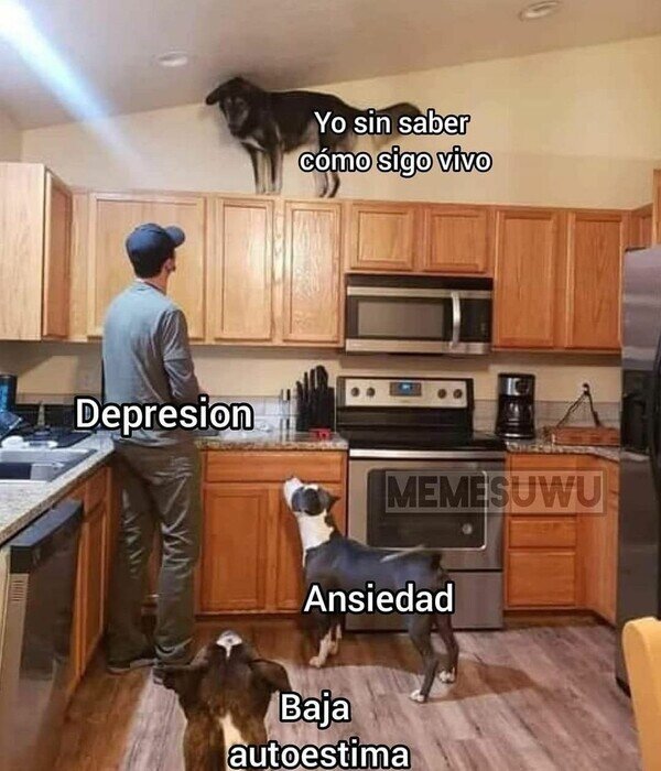 Meme_otros - DEJADME EN PAZ