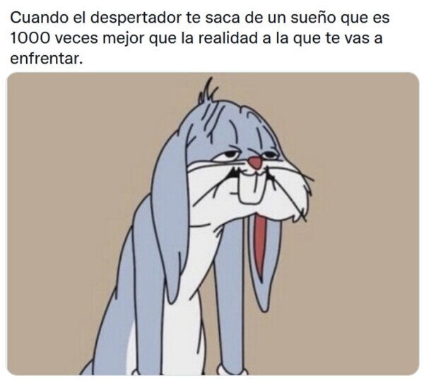 Meme_otros - Matadme por favor
