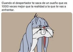 Enlace a Matadme por favor