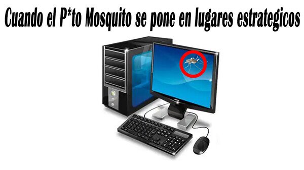 A_nadie_le_importa - Una realidad