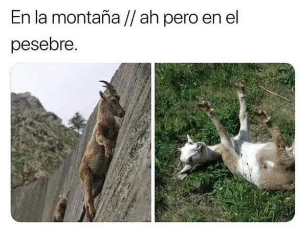 Meme_otros - ¿Por qué nunca se sotienen?