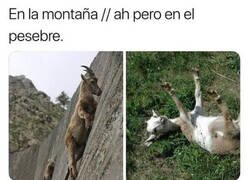 Enlace a ¿Por qué nunca se sotienen?