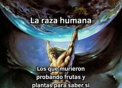 Enlace a Mucho que agradecerles