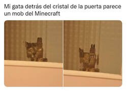 Enlace a Estas cosas me entretienen