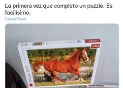 Enlace a Al fin lo consigo