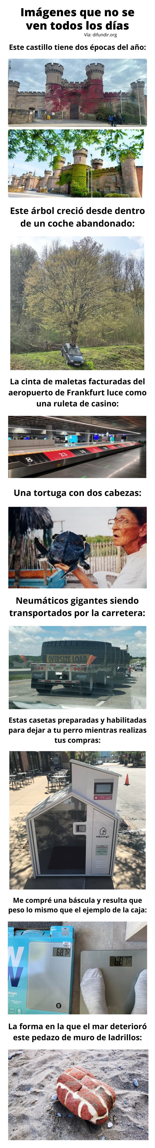 Meme_otros - Imágenes que no se ven todos los días