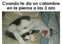 Enlace a Dolor nocturno