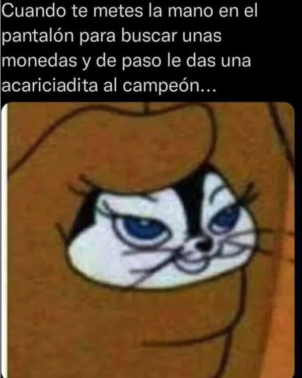 Meme_otros - Aprovechando que pasamos por ahí