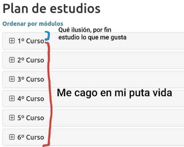 Otros - Así funciona una carrera universitaria