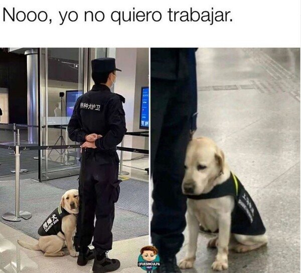 Otros - Todos tenemos que hacerlo algún día