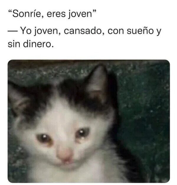 Meme_otros - Juventud, divino tesoro
