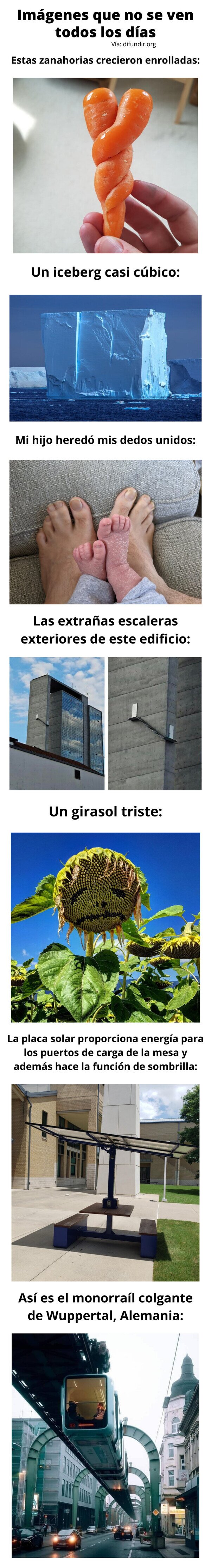 Meme_otros - Imágenes que no se ven todos los días