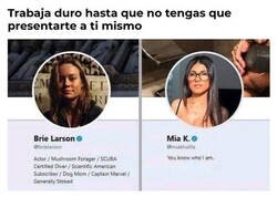 Enlace a No necesita presentación