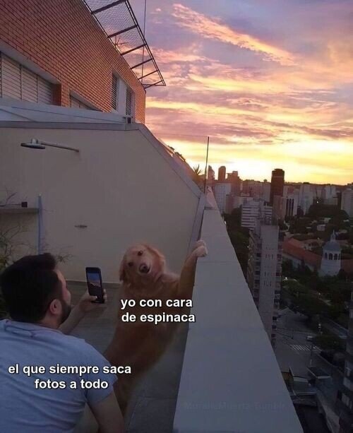 Meme_otros - El pesado de las fotitos