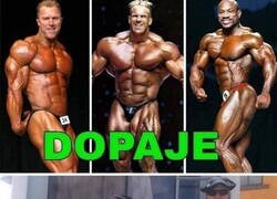 Enlace a ¿Y tú cómo ensanchas tu cuerpo?