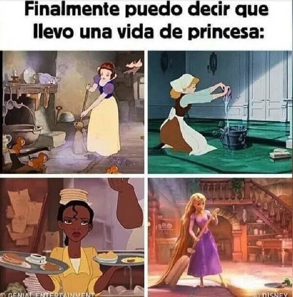 Meme_otros - Una vida de princesa