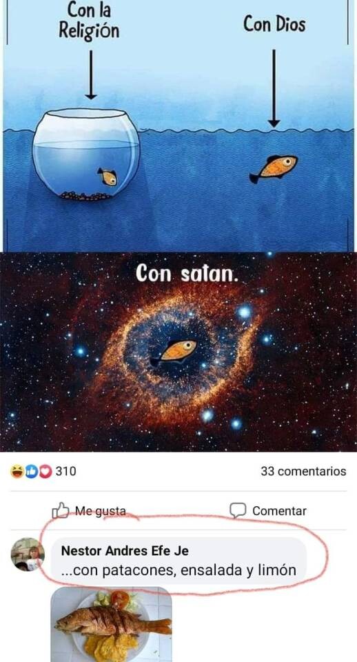 Meme_otros - El mejor acompañamiento para el pez