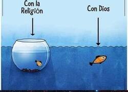 Enlace a El mejor acompañamiento para el pez