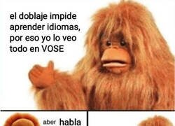 Enlace a Miguel VOSE