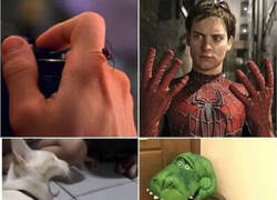 Enlace a El Gato-Cocodrilo