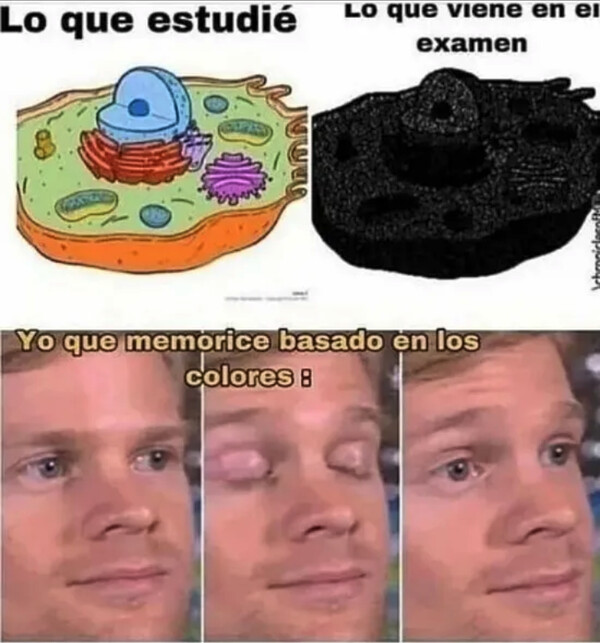 Meme_otros - Los exámenes fotocopiados