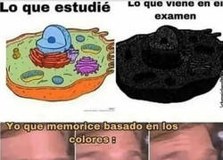 Enlace a Los exámenes fotocopiados