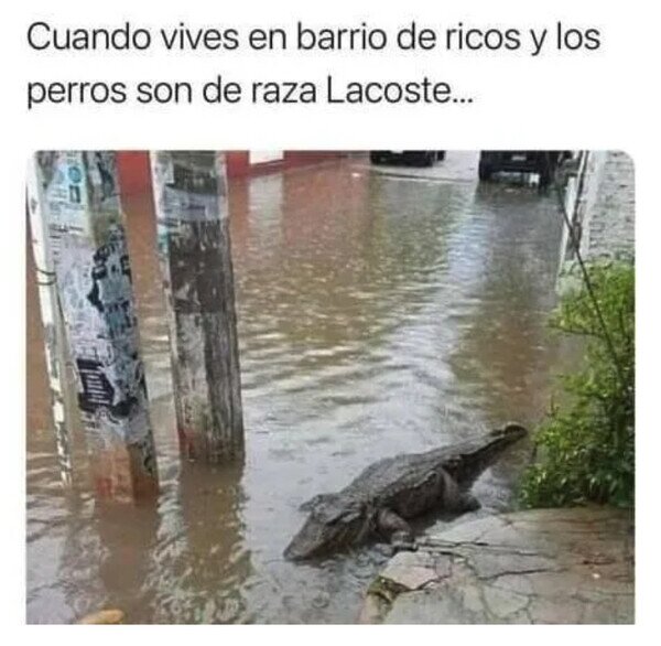 Meme_otros - Cuando diluvia en un barrio rico