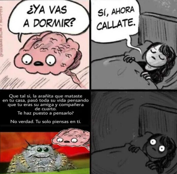 Meme_otros - Pobre araña