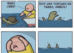 Enlace a ¡Dios mío! ¿Qué he hecho?