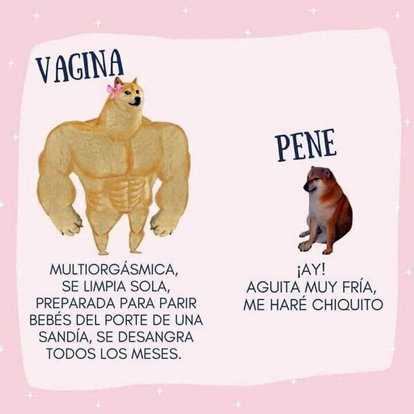 Meme_otros - ¿Quién es el sexo débil ahora?