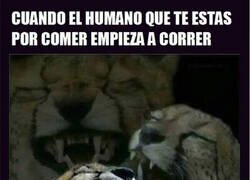 Enlace a No tiene escapatoria