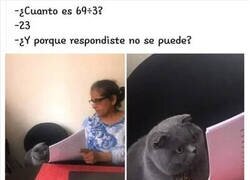 Enlace a Pensaba en otras cosas