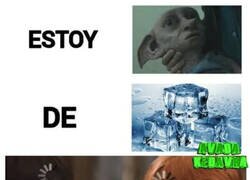 Enlace a Estoy muerto de frío