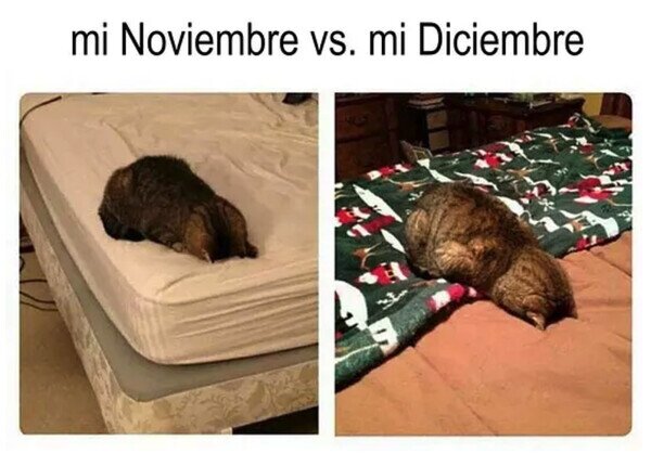 Otros - Lo mismo pero con decoración navideña