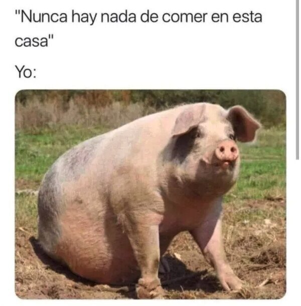 Meme_otros - No se me ve mal alimentado