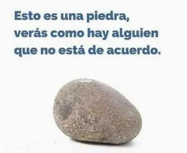 Meme_otros - Yo más bien diría que es una roca