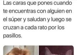 Enlace a Encuentros incómodos