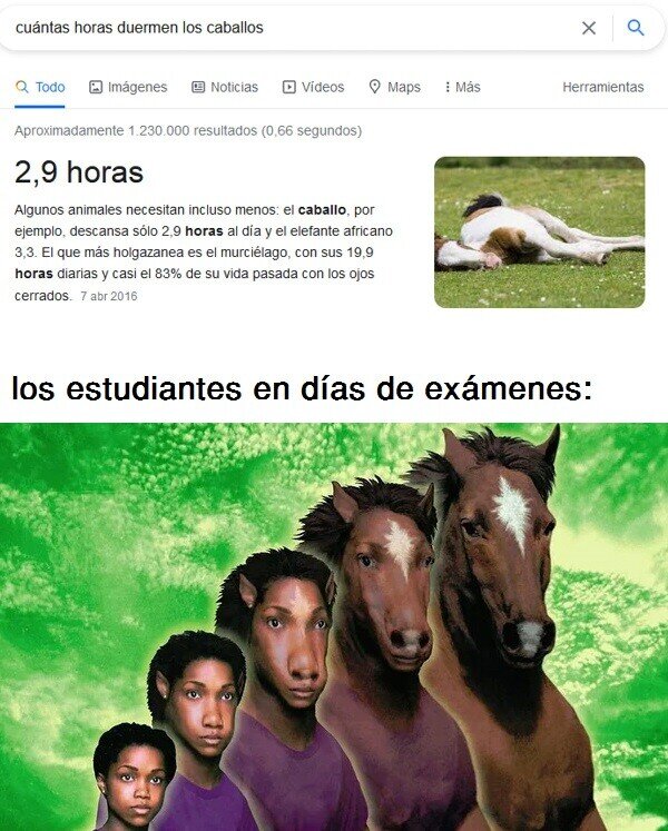 estudiante,examen,caballo,dormir