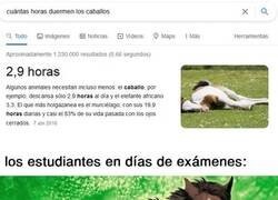 Enlace a Estudiantes galopantes