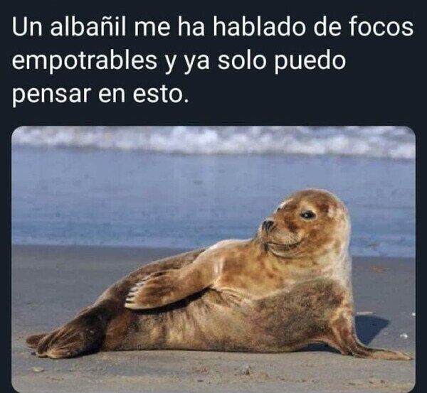 Otros - No puedo quitarmelo de la cabeza