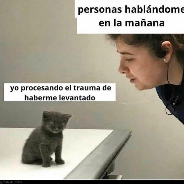 Meme_otros - Todavía no, por favor