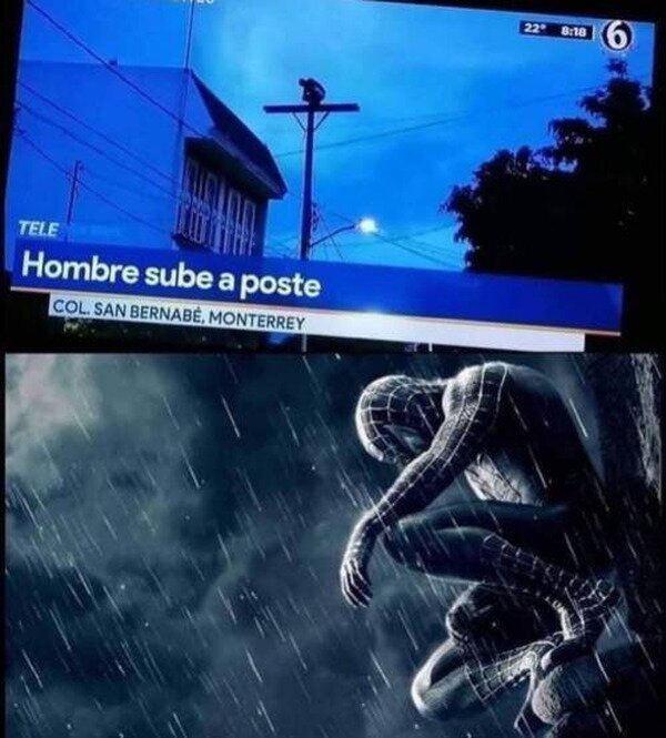 Meme_otros - ¡Es él!