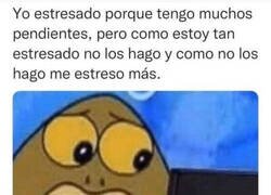 Enlace a Mi vida hecha meme