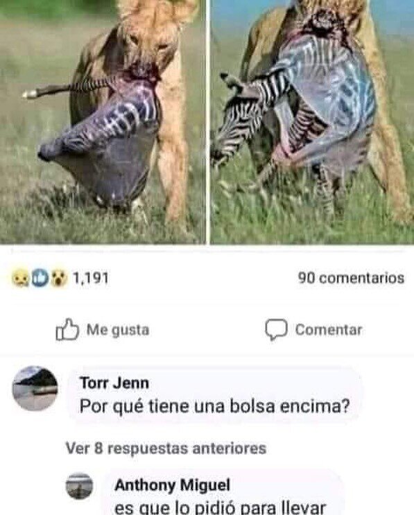 Meme_otros - ¿Se lo envuelvo para regalo?