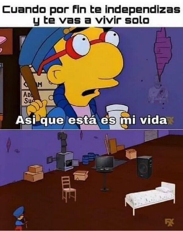 Otros - Bienvenido a tu nueva vida