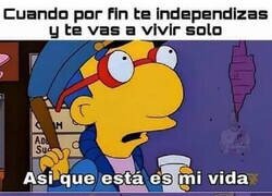 Enlace a Bienvenido a tu nueva vida