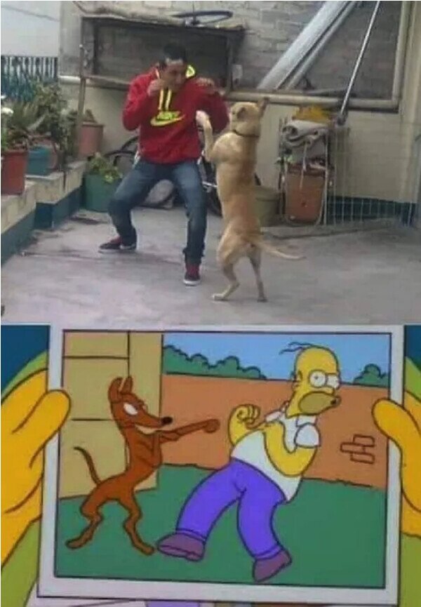 Meme_otros - Los Simpson lo han vuelto a hacer